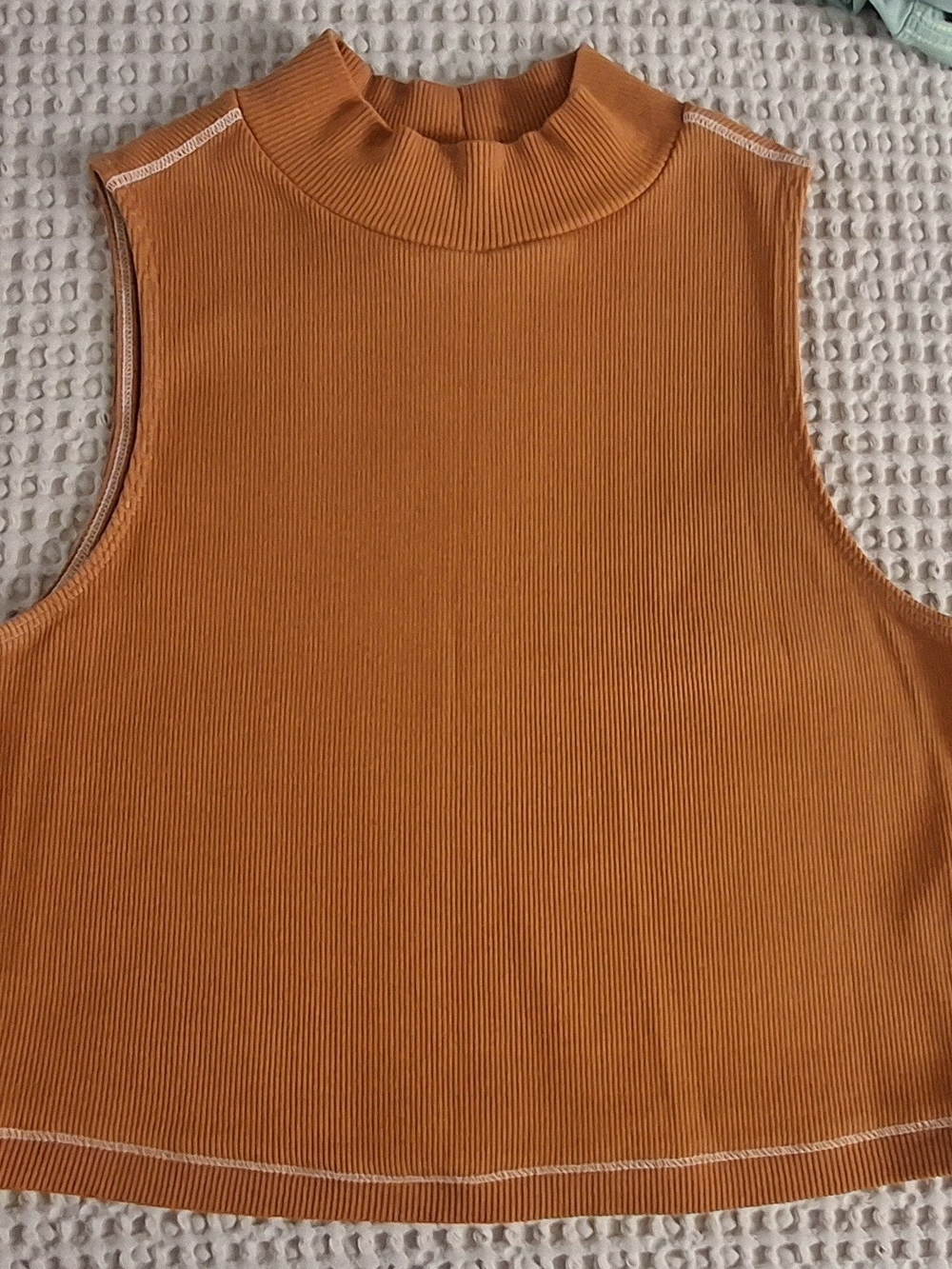 Everlane Cropped Sleeveless Mock Neck Tank